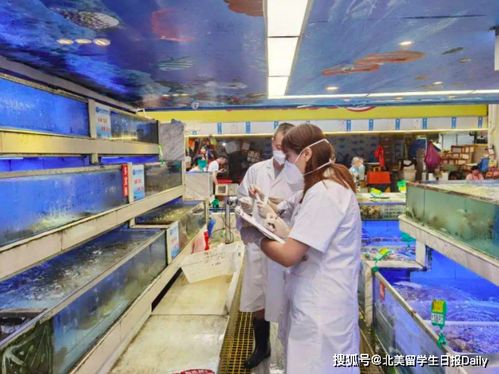 北京因疫情多地進(jìn)入戰(zhàn)時(shí)狀態(tài) 專家 這輪病毒或來自歐洲