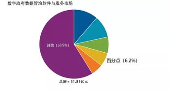 百分點躋身IDC數字政府數據管理與治理軟件和服務市場第四名，數據處理服務獲認可